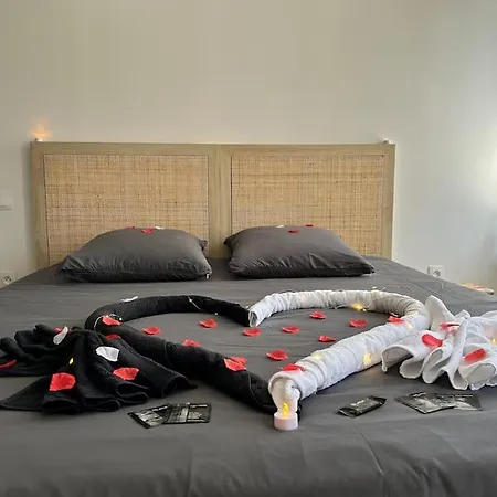 Duplex Romantique Avec Jacuzzi Privatif